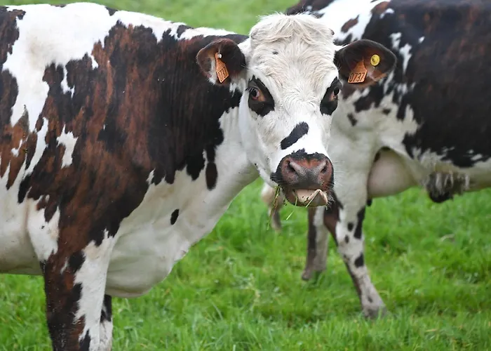 Honfleur 2* La Riviere-Saint-Sauveur