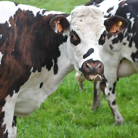Honfleur 2* La Rivière-Saint-Sauveur